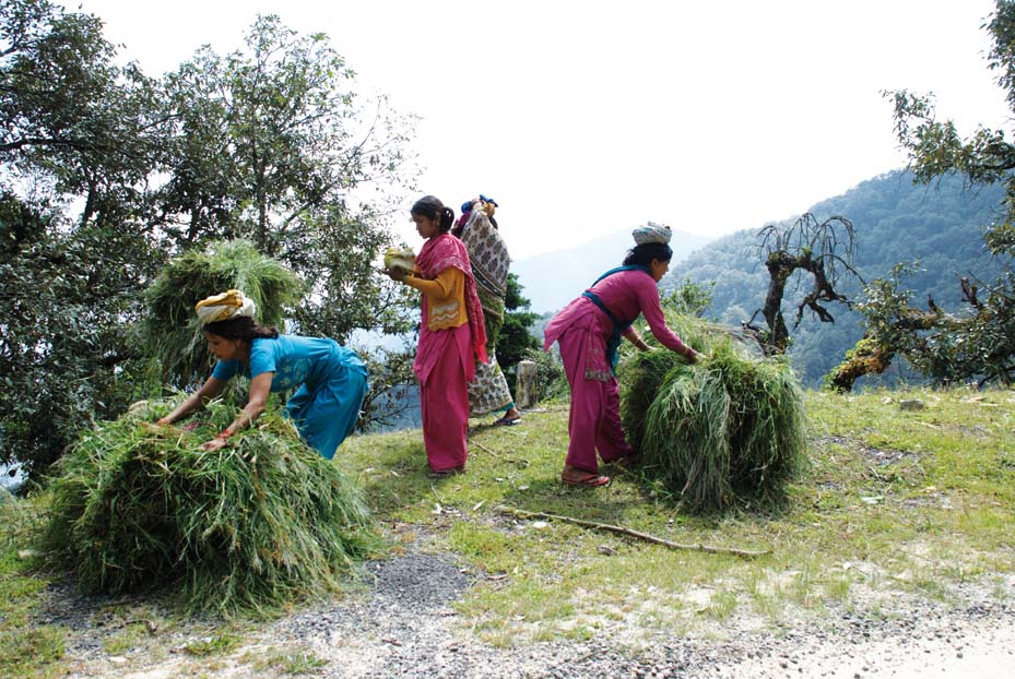 Forest Dwellers Vs Forest Rights